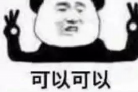 彭山融资清欠服务